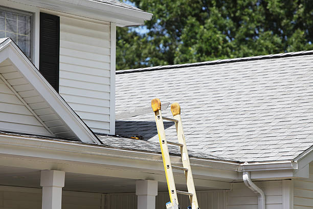 Best Historical Building Siding Restoration  in Millport, AL